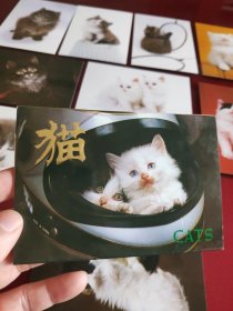 猫第二辑明信片(10张)