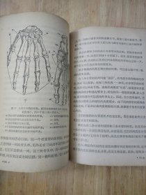 人类在自然界的位置 1971年版 16张实物照片