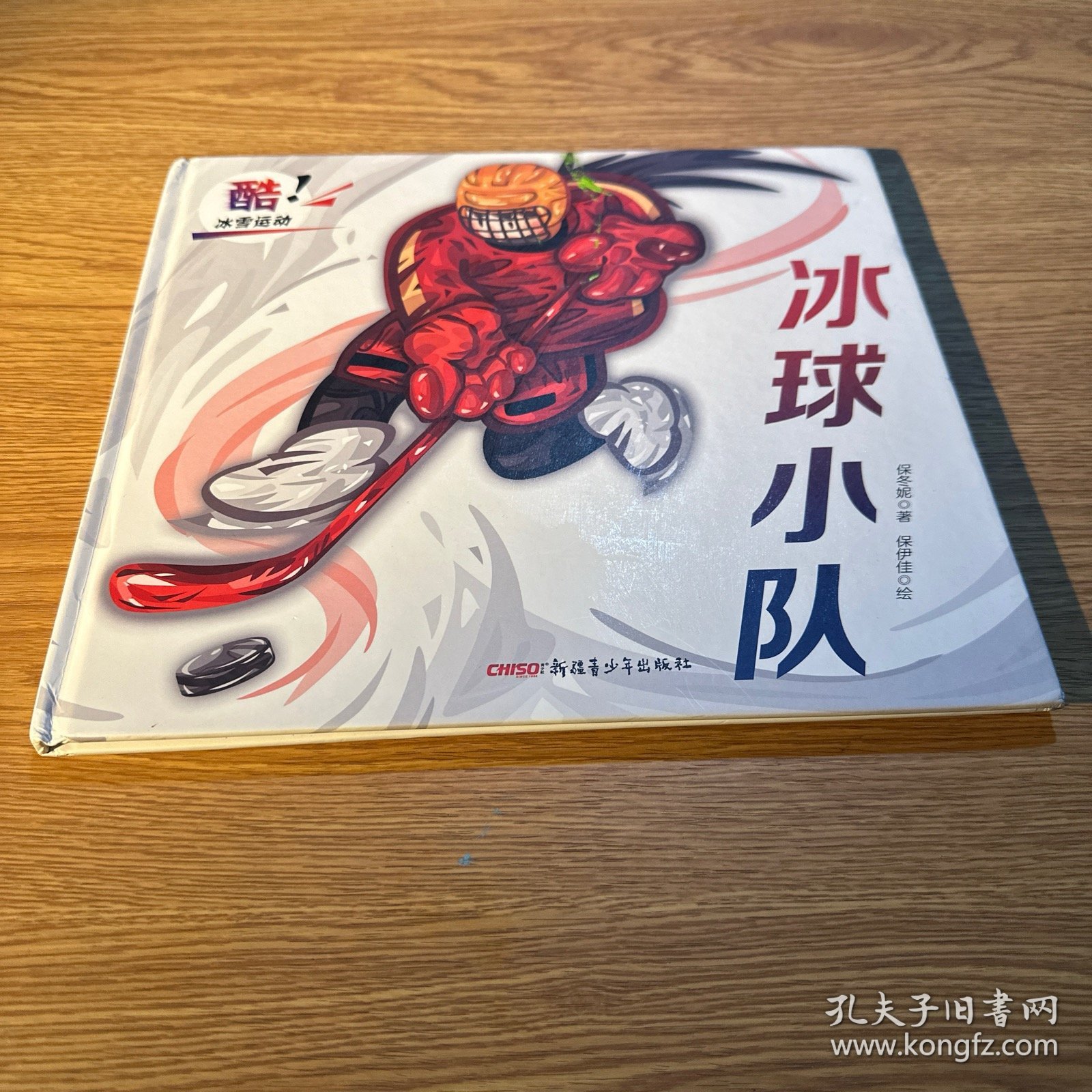 酷！冰雪运动（张艺谋导演推荐，1册）冰球小队