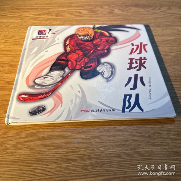 酷！冰雪运动（张艺谋导演推荐，1册）冰球小队