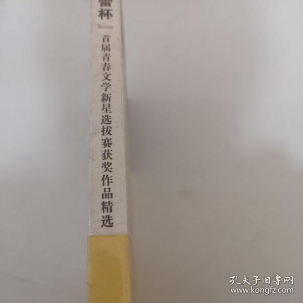 新蕾杯首届青春文学新星选拔赛获奖作品精选