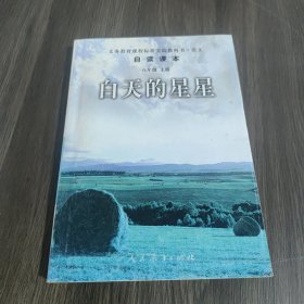 白天的星星