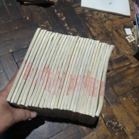 我们的家园（27本合售，馆书）