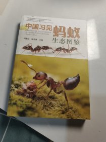 中国习见蚂蚁生态图鉴