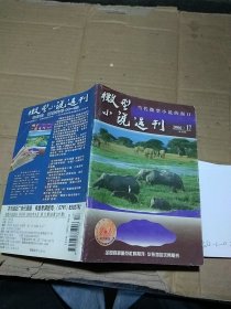 微型小说选刊2006.17