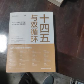十四五与双循环:17位一线经济学家深度解读新发展格局（国内大循环国内国际双循环）