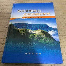 滇东北峨眉山玄武岩铜矿研究