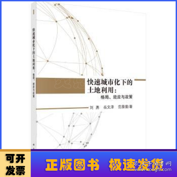 快速城市化下的土地利用：格局、效应与政策