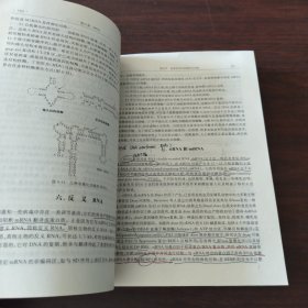 医学细胞与分子生物学