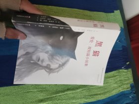 黑猫：爱伦·坡短篇小说集