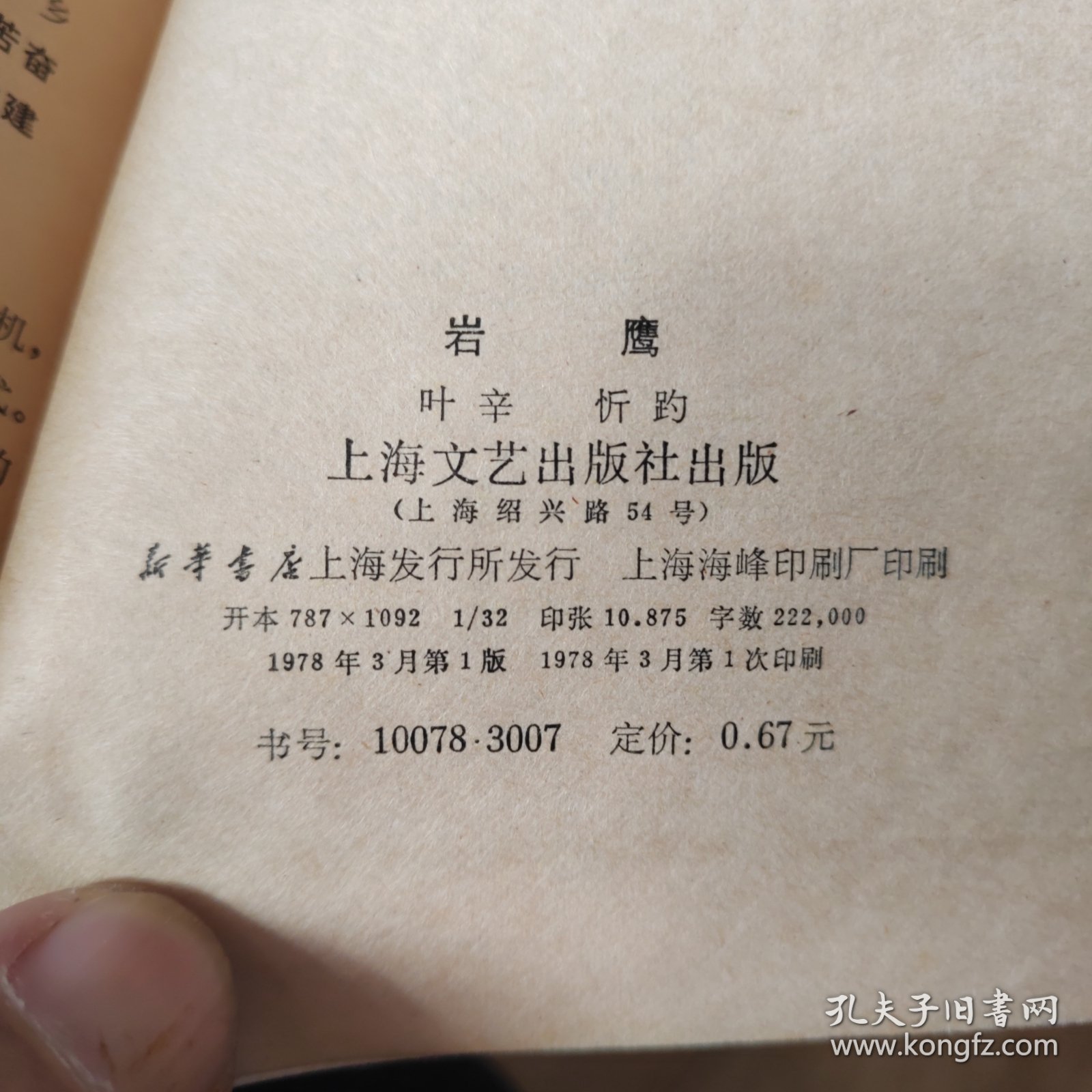 岩鹰