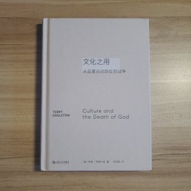 文化之用:从启蒙运动到反恐战争（思想如何回应时代问题）