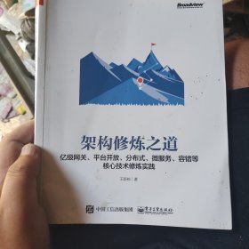 架构修炼之道——亿级网关、平台开放、分布式、微服务、容错等核心技术修炼实践