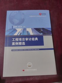 工程项目审计经典案例精选