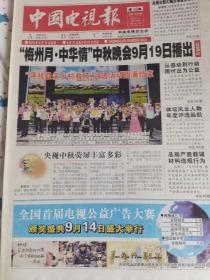 中国电视报2013年3期合售(第15、36、38期)