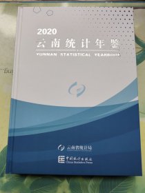 2020云南统计年鉴（附光碟）