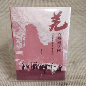 羌在汉藏之间：川西羌族的历史人类学研究（《华夏边缘》作者王明珂经典力作，川西羌族全解）