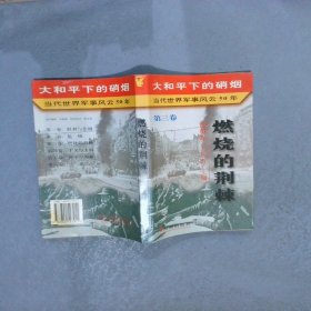 大和平下的硝烟 当代世界军事风云50年 第三卷 燃烧的荆棘