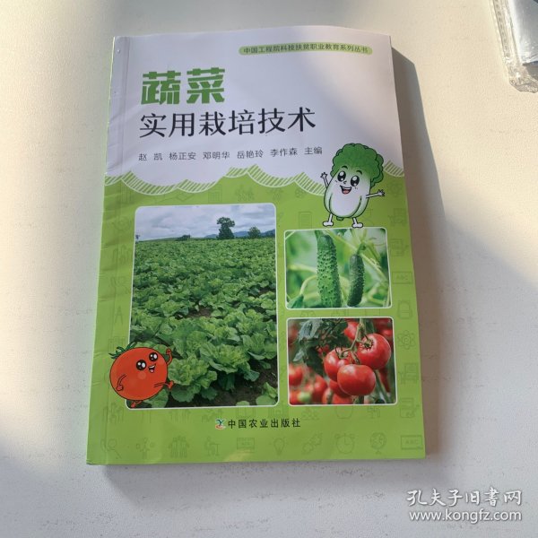 蔬菜实用栽培技术/中国工程院科技扶贫职业教育系列丛书