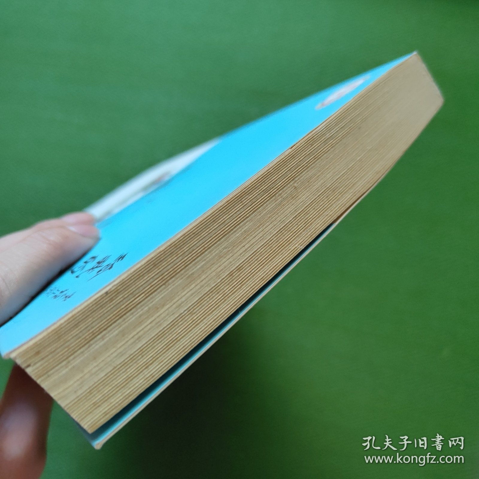 丰子恺儿童文学全集·给我的孩子们·漫画插图版