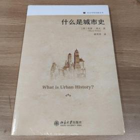 历史学的实践丛书：什么是城市史