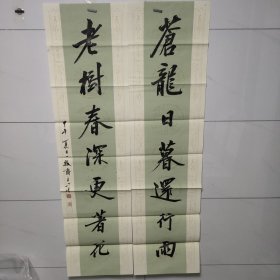 刘小晴书法:苍龙日暮还行雨，老树春深更著花！