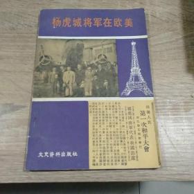 杨虎城将军在欧美