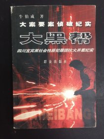 大黑帮——21世纪大案要案侦破纪实系列