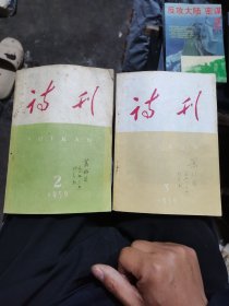 诗刊(59年第2，3期)