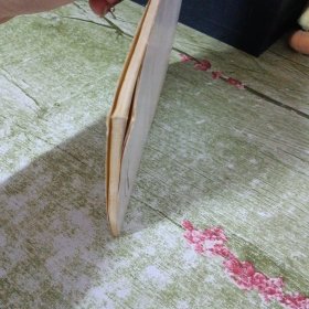 陆游诗词选注