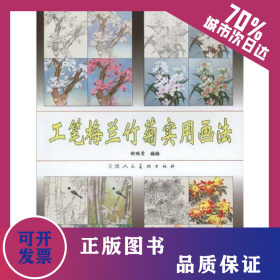 工笔梅兰竹菊实用画法 9787530539682