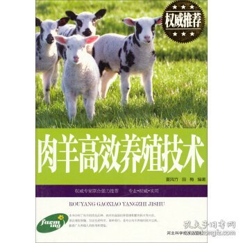 肉羊高效养殖技术