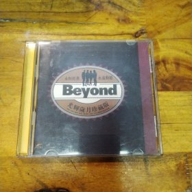 Beyond光辉岁月珍藏版 CD