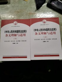 中华人民共和国民法总则 条文理解与适用（套装上下册）