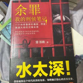 余罪：我的刑侦笔记