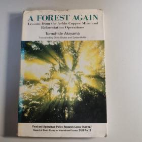 A FOREST AGAIN
森林重现（英文）