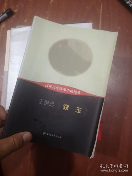 百年百部微型小说经典：窃玉