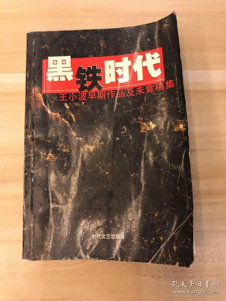 黑铁时代：王小波早期作品及未竟稿集