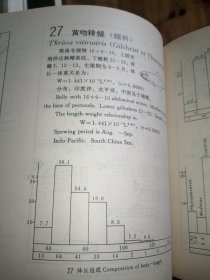 大亚湾鱼类及生物学图志