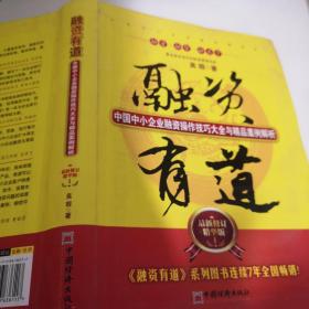 融资有道：中国中小企业融资操作技巧大全与精品案例解析（最新修订精华版）