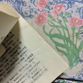 细批终身详解 【品相请仔细看图】Ⅳ