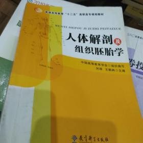 人體解剖及組織胚胎學