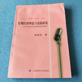 宏观经济理论与实践新论：政府的职能与宏观经济疑难问题探讨