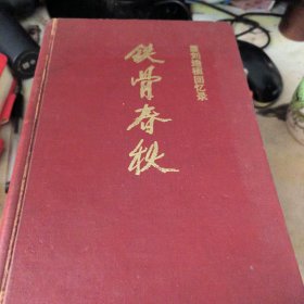 铁骨春秋
