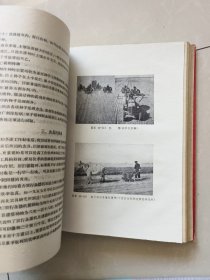 中国棉花栽培学