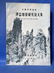 云南思茅地区钾盐地质研究论文集