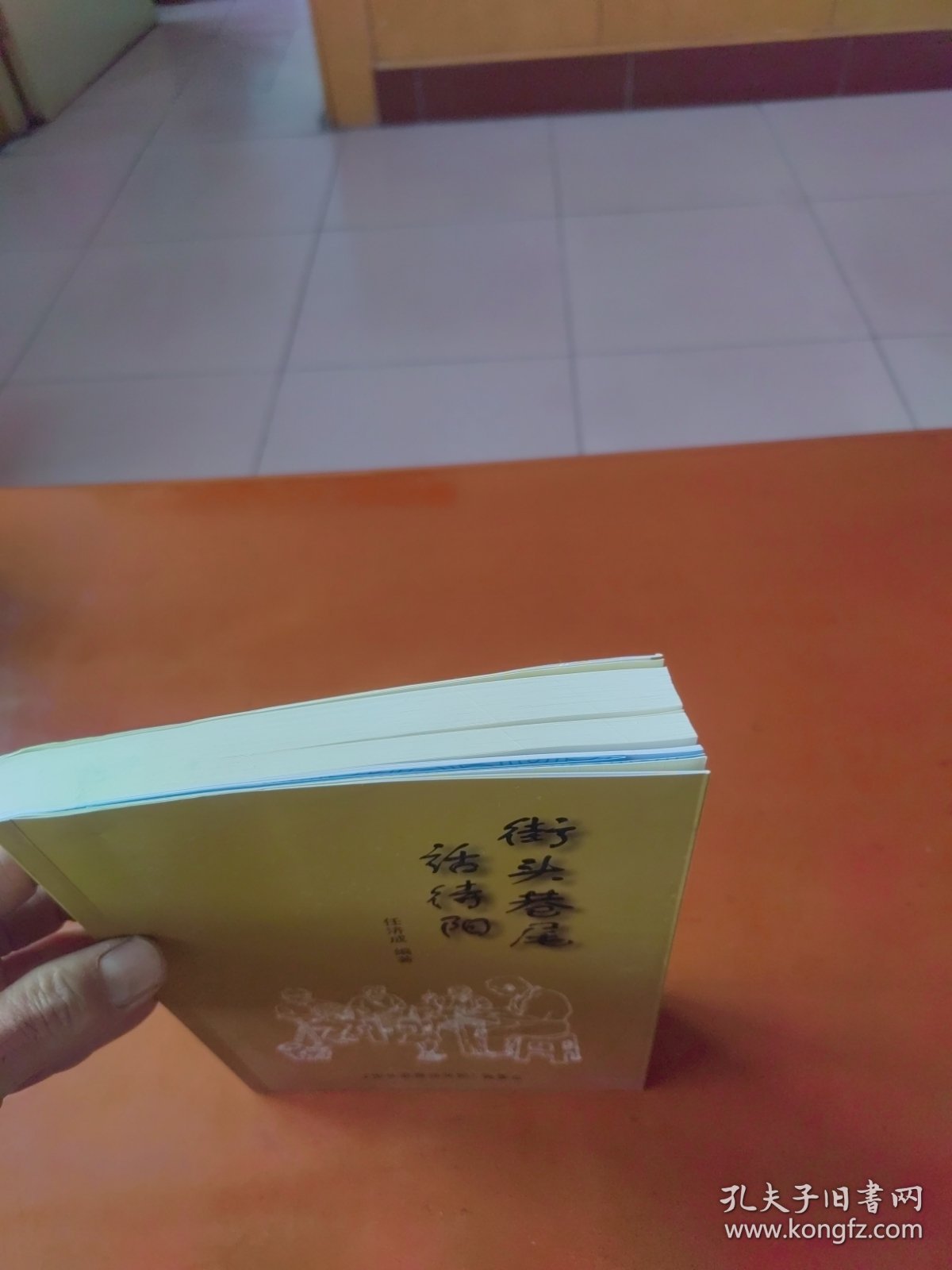 街头巷尾话待阳（村史性质）