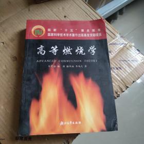 高等燃烧学（国家“十五”重点图书）