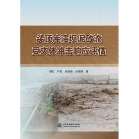 【假一罚四】头顶库溃坝泥砂流受灾体冲击响应评估蔡红，严俊，吴帅峰，孙黎明9787517097457