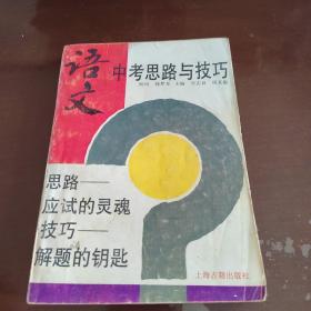 语文中考思路与技巧